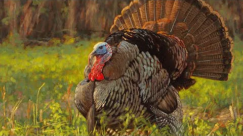 28 Gauge Turkey Loads Pattern Samples - SBE 3 28 Gauge