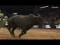 Getcha Some Brings the CHAOS! Dalton Kasel Takes a Hit