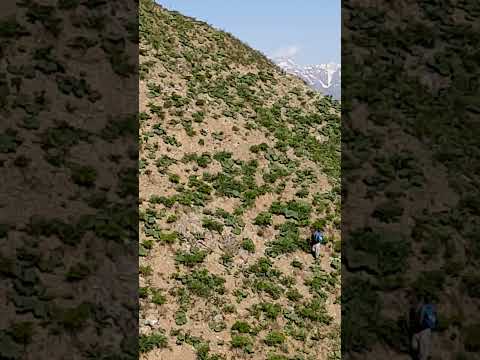 самая высокая горы в Таджикистан