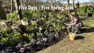 Spring Garden Jobs | Dividing Snowdrops | Planting Primroses | Pruning Hydrangeas | Border Clean-up