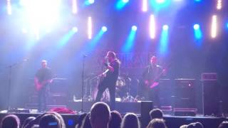 Video thumbnail of "Viikate - ei enkeleitä - live 2016 lunta ilosaaressa"