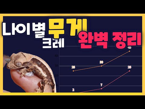 크레가 N개월이 되면 얼마나 자라나요? 크레스티드게코들의 나이별 성장 크기를 알아보자! 크레가 너무 안클때, 내크레가 잘 자라는지 확인하고 싶을때