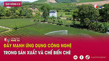 Tam nông 4.0: Đẩy mạnh ứng dụng công nghệ trong sản xuất và chế biến chè