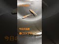メダカ紹介(寿)#めだか #メダカ