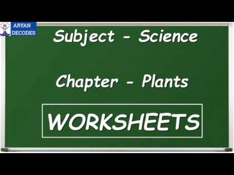 మొక్కలు | సైన్స్ | వర్క్‌షీట్‌లు | EVS | NCERT| CBSE | ICSE | ఆన్‌లైన్ లెర్నింగ్| FA 1 |SA 1 | గ్రేడ్ 3,4,5