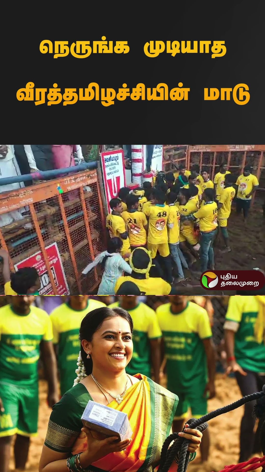 நெருங்க முடியாத வீரத்தமிழச்சியின் மாடு | #jallikattu2025 | #madurai | #shorts