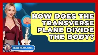 How Does The Transverse Plane Divide The Body? - All About Anatomy Answers