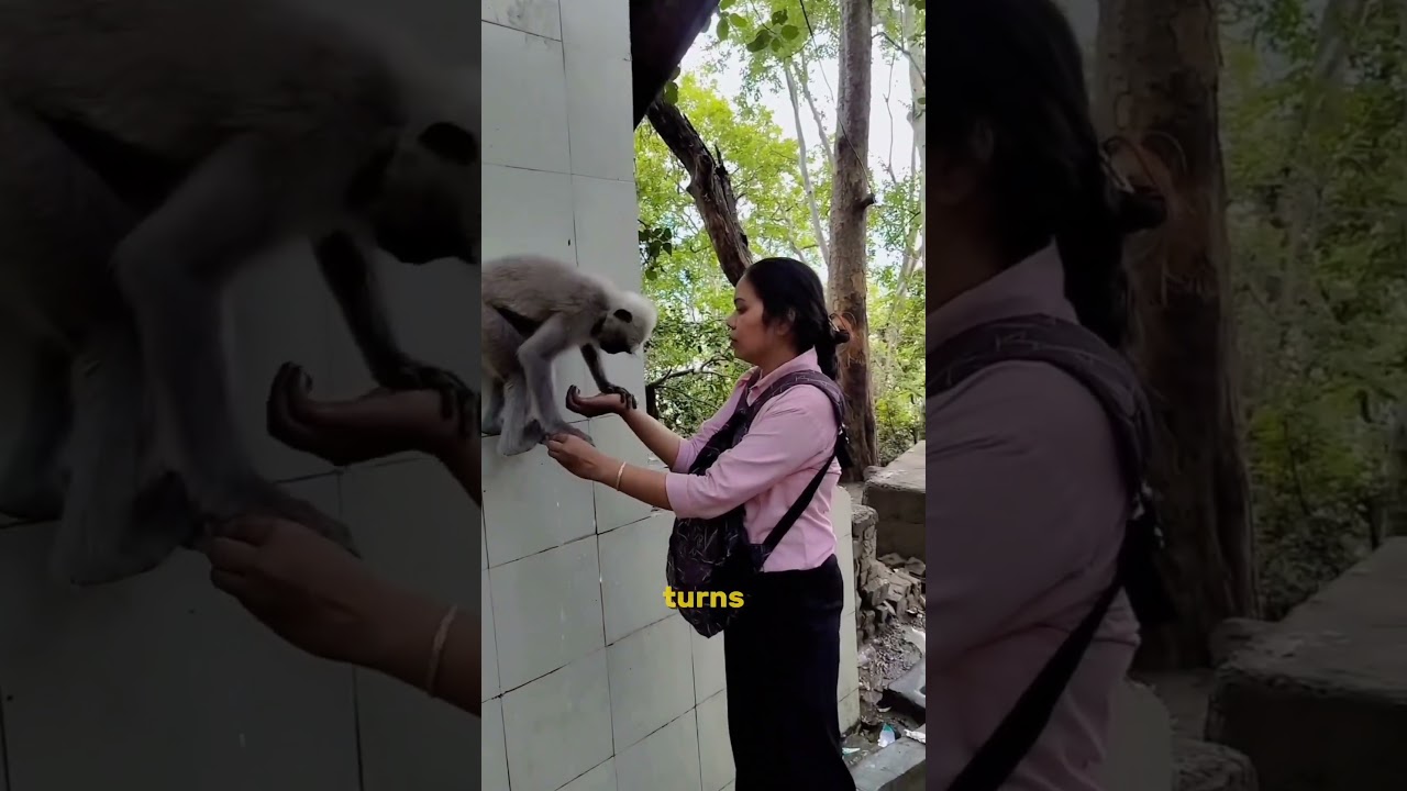 The Most Incredible Animal Moments That Will Leave You Amazed