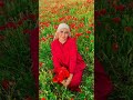 زين الشمالي
