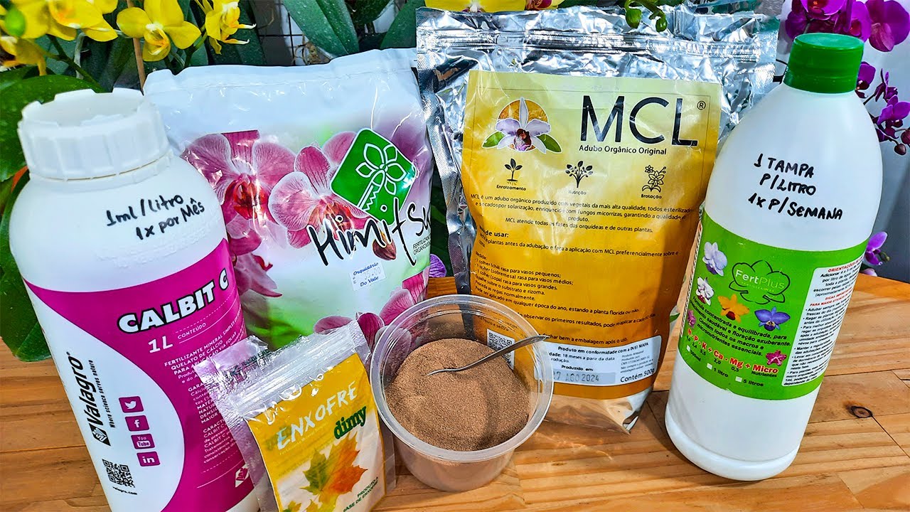 Esse é o MELHOR ADUBO para as orquídeas