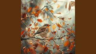 Mindful Melodies in Bird Rhythms
