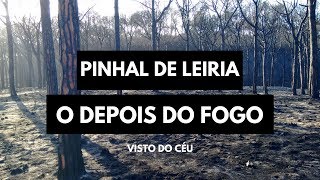 Pinhal de Leiria - O Depois do Fogo visto do céu