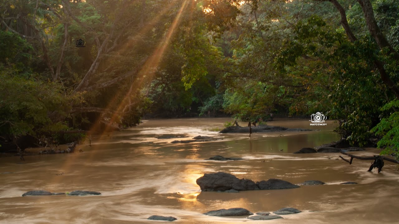 Osun Osogbo: Exploring the Enchanting Osun Grove