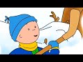 Caillou en Français - Les Jeux de Noël de Caillou | dessin animé | conte pour enfant