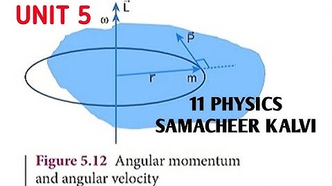 Angular momentum and angular velocity | Unit 5 | 12 Physics Samacheer kalvi.