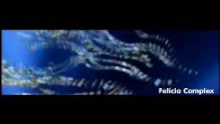 Vídeo Show - Abertura