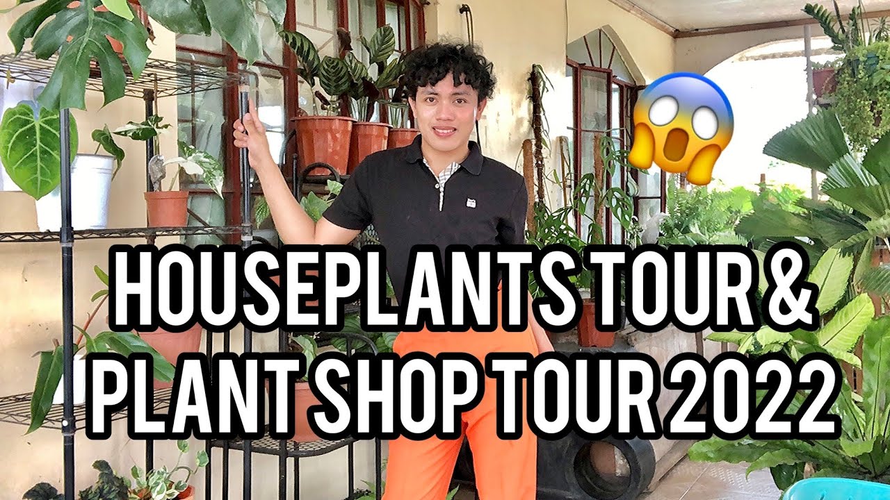 HOUSEPLANTS & PLANT SHOP TOUR 2022 NI MARK OF THE JUNGLE PLANTS!