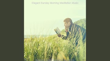 Magnificent Koto and Strings - Vibe for Sunday Wellness Routines