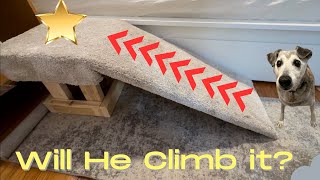How to build a Dog Ramp