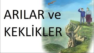 6Sınıf Türkçe Dersi Arılar Ve Keklikler Dinleme Metni Meb Yayınları