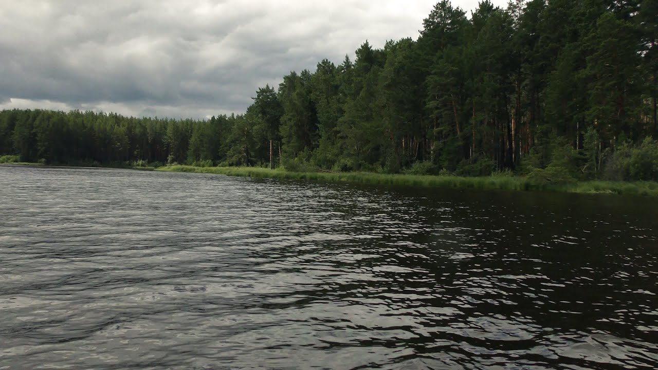 Прогулка на моторной лодке