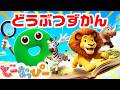 【うた】どうぶつずかんだいすき！🐶🦁｜ドーナツたちとどうぶつあそび♪｜歌メドレー｜赤ちゃん喜ぶ｜知育｜こどものうた｜どーなっぴー【公式】