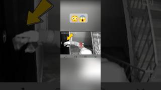 Domuz Büyüsü Yapan Kaynana