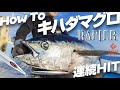 [キハダマグロ]高知県土佐湾 ジギングで大型キハダマグロ連発 withレイピア