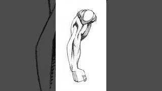Como dibujar un brazo musculoso | Brazo de superheroe 💪 #art #drawing #shorts #dibujar #anime #draw