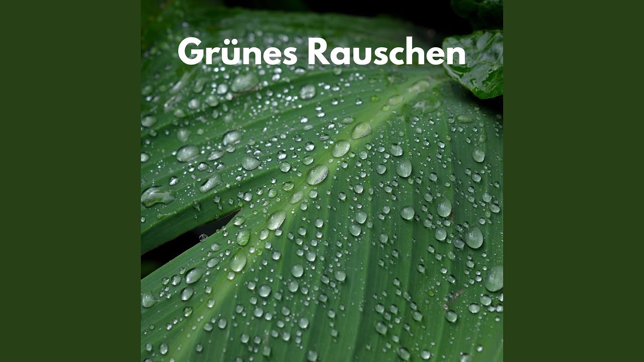 Grünes Rauschen endlos Wiederholbar