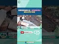 陸軍實彈演練意外