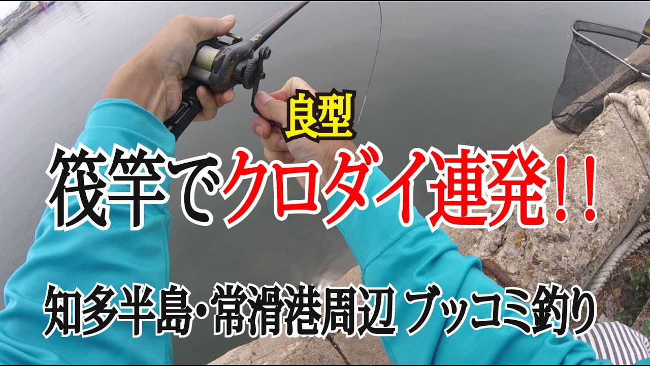 知多半島・常滑港でクロダイ（チヌ）ラッシュ！筏竿で大型連発の奇跡！！