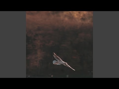 Згадай згадай згадай