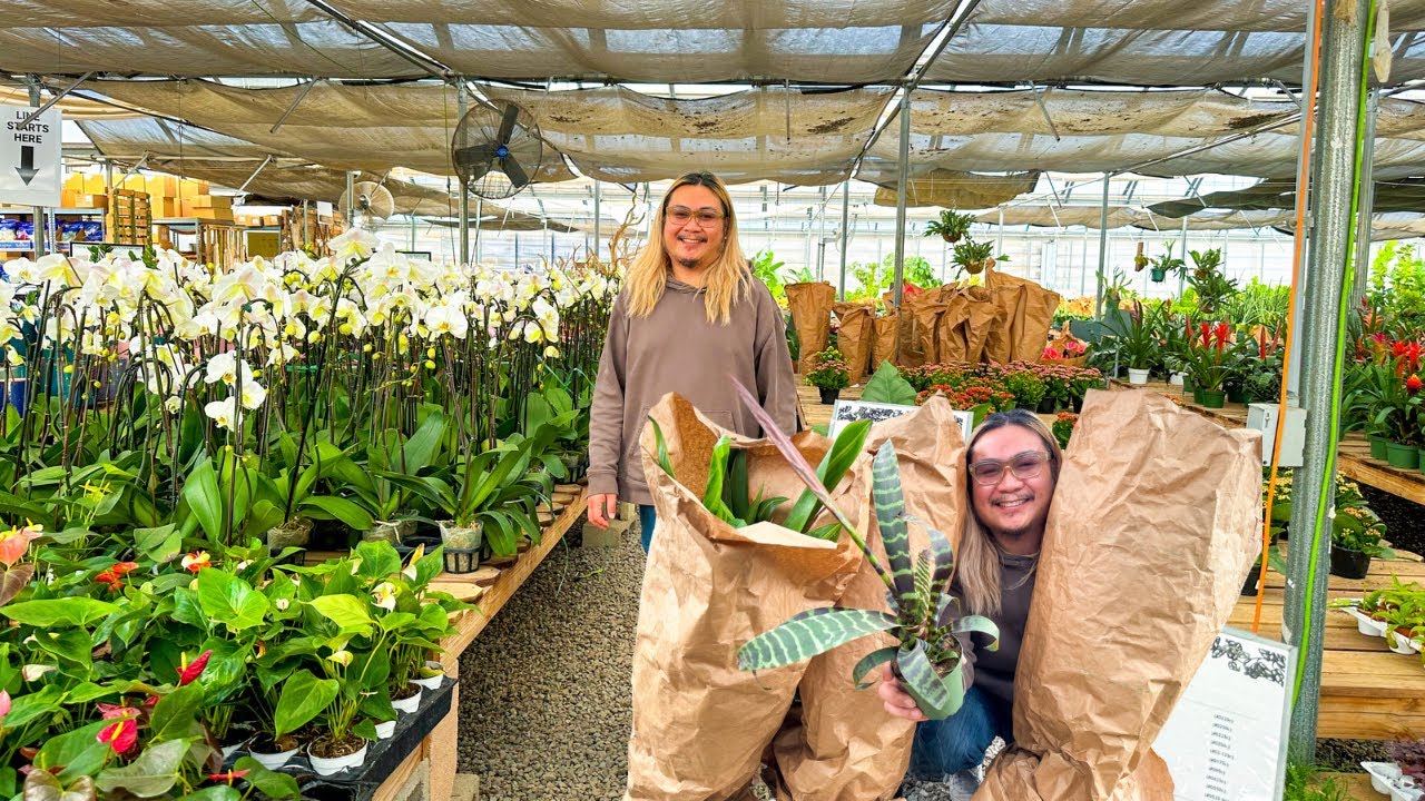 Outdoor Nursery + Wholesale Greenhouse (sales open to public)