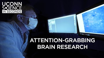 Science in Seconds: Attention-Grabbing Brain Research