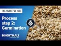 Malting Process Step 2 Germination
