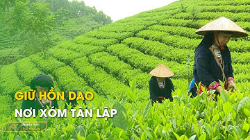 Giữ hồn Dao nơi xóm Tân Lập - Phóng sụ chuyên đề | Thái Nguyên TV
