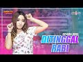 Download Lagu Difarina Indra ft Adella - Ditinggal Rabi (Official Music Video)