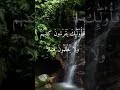 ف أ و ل ئ ك ي ق ر ء ون ك ت ب ه م 