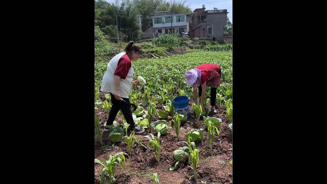 侄女耍起不想走，还要吃板鸭#记录真实生活 #2024新农人计划