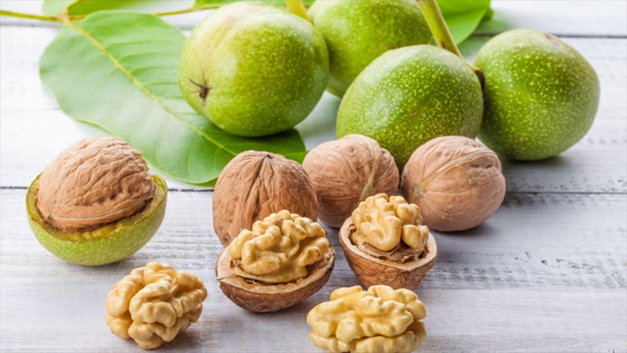 Which Vitamins And Vegetables Helps To Treat Fatty Liver Role Of Nuts