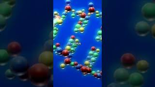 Unraveling the Mystery of LTR Retroelements!