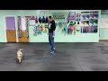 Max - Training Leash/Long Line for Recalls &amp; Loose Leash Walking, Why Sniffing is Important (part 2)