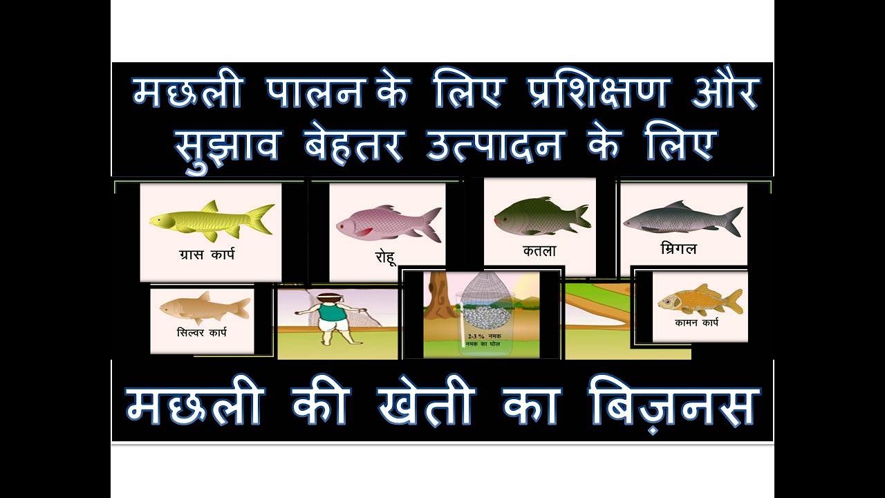 fish farming business plan in india hindi