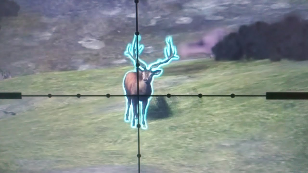 theHunter: finding 12 males and 4 drink zones for red deer