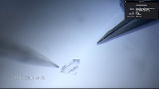 PTDiamonds ⎟Sortoscope
