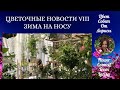 ЦВЕТОЧНЫЕ НОВОСТИ 8 | ЗИМА НА НОСУ 4К