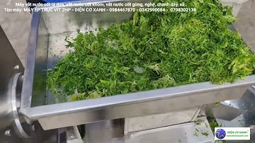 Máy vắt nước cốt lá dứa nguyên chất - Điện Cơ Xanh - 0984467870 - 0342990084