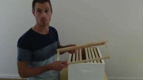 1 Hive setup, WSP hive bodies, foundation-less frames, modified bottom board