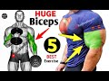Killer Biceps Workout At Gym//Top -5 Exercise Biceps